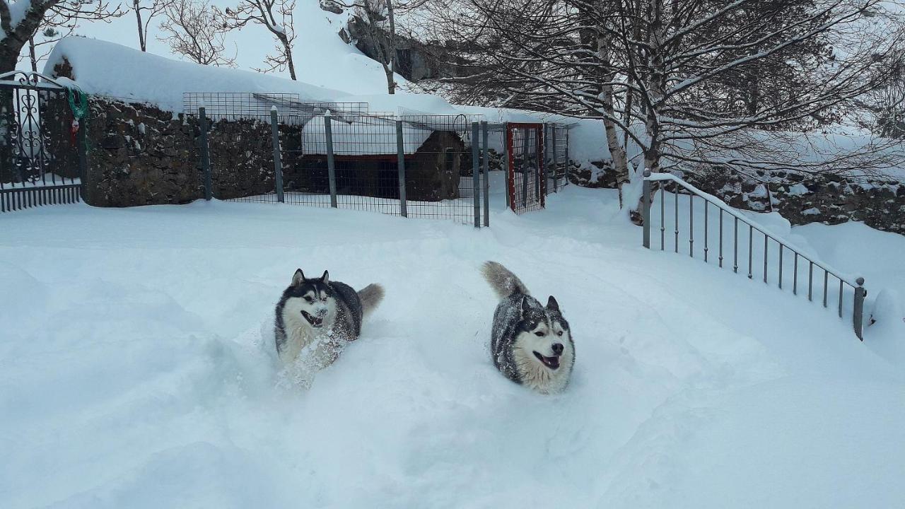 Posada El Rincon De Babia La Cueta エクステリア 写真